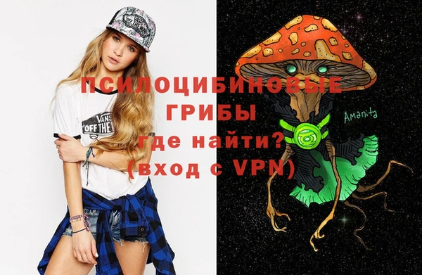 MDMA Premium VHQ Бронницы